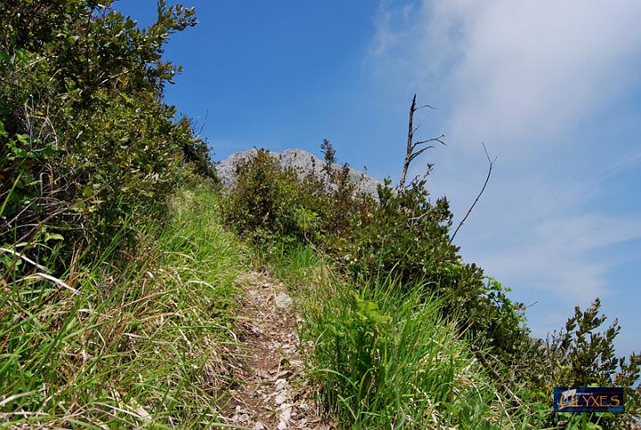 sentiero per il monte finestra.JPG